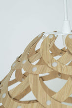 Load image into Gallery viewer, David Trubridge - Tui Pendant Light
